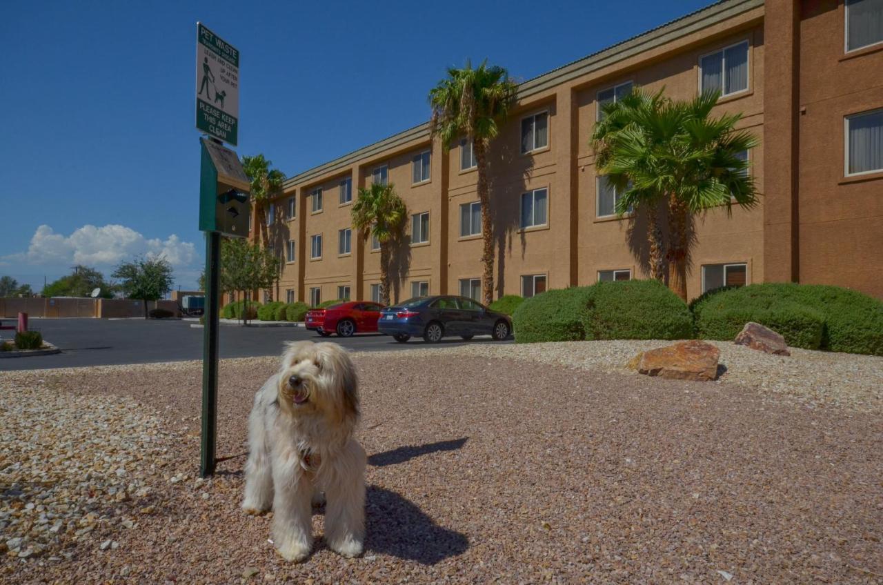 Holiday Inn Express Las Vegas-Nellis By Ihg מראה חיצוני תמונה